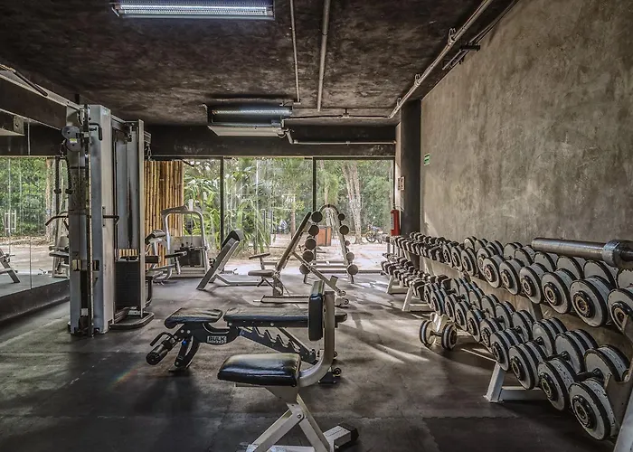 Stylish Ph With Private Pool-gym-superstore Tulum